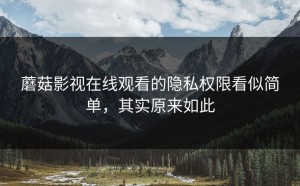 蘑菇影视在线观看的隐私权限看似简单，其实原来如此