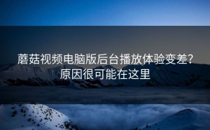 蘑菇视频电脑版后台播放体验变差？原因很可能在这里