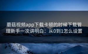 蘑菇视频app下载卡顿的时候下载管理新手一次讲明白：从0到1怎么设置