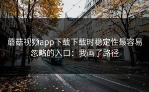 蘑菇视频app下载下载时稳定性最容易忽略的入口：我画了路径