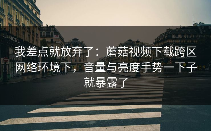 我差点就放弃了：蘑菇视频下载跨区网络环境下，音量与亮度手势一下子就暴露了