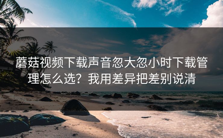 蘑菇视频下载声音忽大忽小时下载管理怎么选？我用差异把差别说清