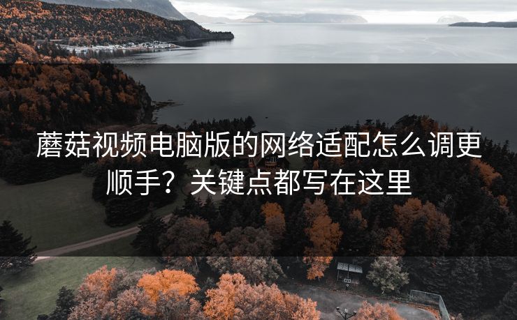 蘑菇视频电脑版的网络适配怎么调更顺手？关键点都写在这里