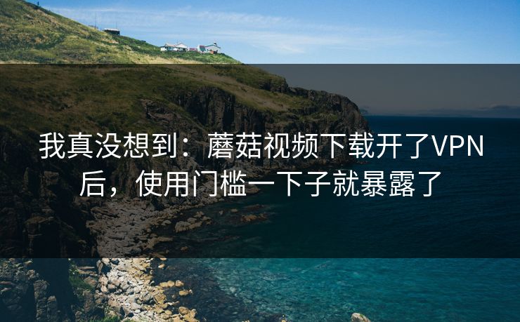 我真没想到：蘑菇视频下载开了VPN后，使用门槛一下子就暴露了
