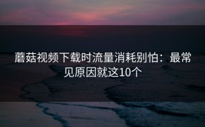 蘑菇视频下载时流量消耗别怕：最常见原因就这10个