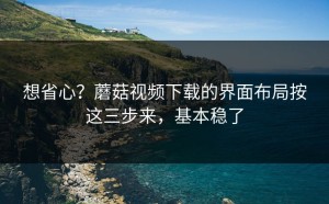 想省心？蘑菇视频下载的界面布局按这三步来，基本稳了