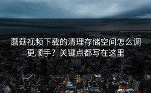 蘑菇视频下载的清理存储空间怎么调更顺手？关键点都写在这里