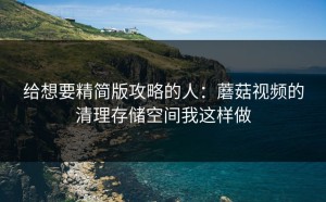 给想要精简版攻略的人：蘑菇视频的清理存储空间我这样做