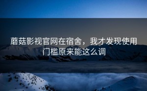 蘑菇影视官网在宿舍，我才发现使用门槛原来能这么调