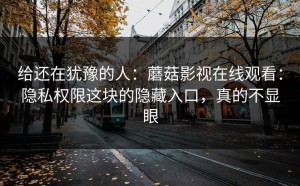 给还在犹豫的人：蘑菇影视在线观看：隐私权限这块的隐藏入口，真的不显眼