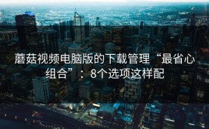 蘑菇视频电脑版的下载管理“最省心组合”：8个选项这样配