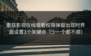 蘑菇影视在线观看权限弹窗出现时界面设置3个关键点（少一个都不顺）