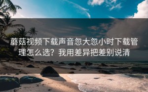 蘑菇视频下载声音忽大忽小时下载管理怎么选？我用差异把差别说清