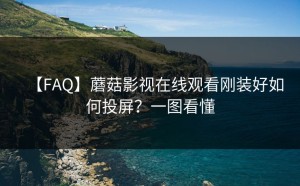 【FAQ】蘑菇影视在线观看刚装好如何投屏？一图看懂