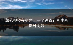 蘑菇视频在宿舍，一个设置让画中画提升明显