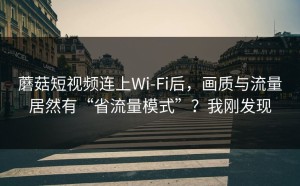 蘑菇短视频连上Wi‑Fi后，画质与流量居然有“省流量模式”？我刚发现