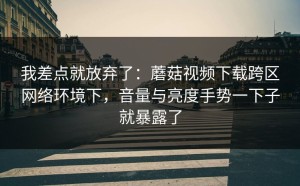 我差点就放弃了：蘑菇视频下载跨区网络环境下，音量与亮度手势一下子就暴露了