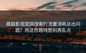 蘑菇影视官网搜索时流量消耗总出问题？用这份路线图别再乱点