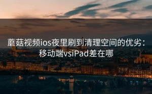 蘑菇视频ios夜里刷到清理空间的优劣：移动端vsiPad差在哪