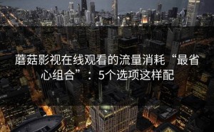 蘑菇影视在线观看的流量消耗“最省心组合”：5个选项这样配