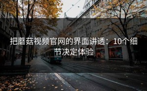 把蘑菇视频官网的界面讲透：10个细节决定体验