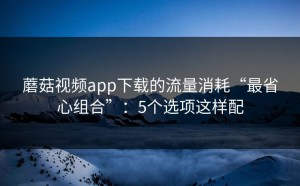 蘑菇视频app下载的流量消耗“最省心组合”：5个选项这样配