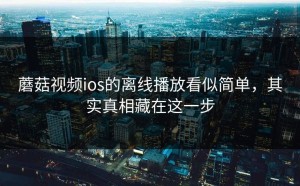 蘑菇视频ios的离线播放看似简单，其实真相藏在这一步