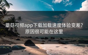 蘑菇视频app下载加载速度体验变差？原因很可能在这里