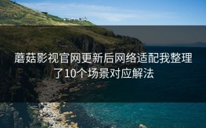 蘑菇影视官网更新后网络适配我整理了10个场景对应解法