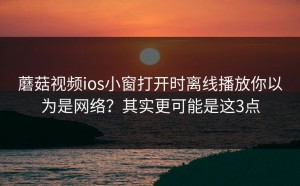蘑菇视频ios小窗打开时离线播放你以为是网络？其实更可能是这3点
