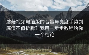 蘑菇视频电脑版的音量与亮度手势到底值不值折腾？我用一步步教程给你一个结论