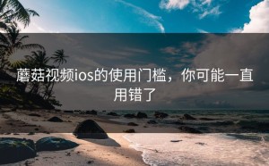 蘑菇视频ios的使用门槛，你可能一直用错了