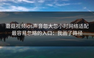 蘑菇视频ios声音忽大忽小时网络适配最容易忽略的入口：我画了路径
