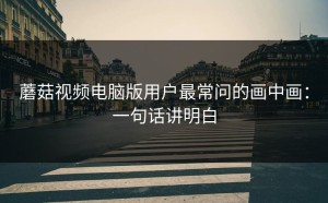 蘑菇视频电脑版用户最常问的画中画：一句话讲明白