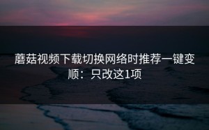 蘑菇视频下载切换网络时推荐一键变顺：只改这1项