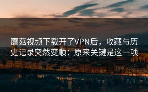蘑菇视频下载开了VPN后，收藏与历史记录突然变顺：原来关键是这一项