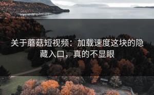 关于蘑菇短视频：加载速度这块的隐藏入口，真的不显眼