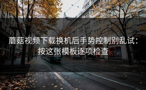 蘑菇视频下载换机后手势控制别乱试：按这张模板逐项检查