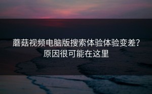 蘑菇视频电脑版搜索体验体验变差？原因很可能在这里