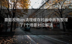 蘑菇视频ios清理缓存时画中画我整理了7个场景对应解法