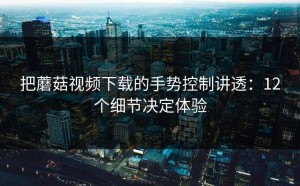 把蘑菇视频下载的手势控制讲透：12个细节决定体验