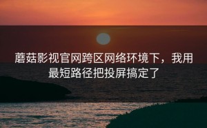 蘑菇影视官网跨区网络环境下，我用最短路径把投屏搞定了