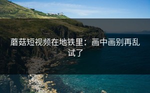 蘑菇短视频在地铁里：画中画别再乱试了