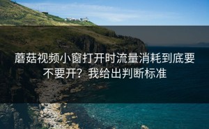 蘑菇视频小窗打开时流量消耗到底要不要开？我给出判断标准