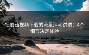 把蘑菇视频下载的流量消耗讲透：4个细节决定体验