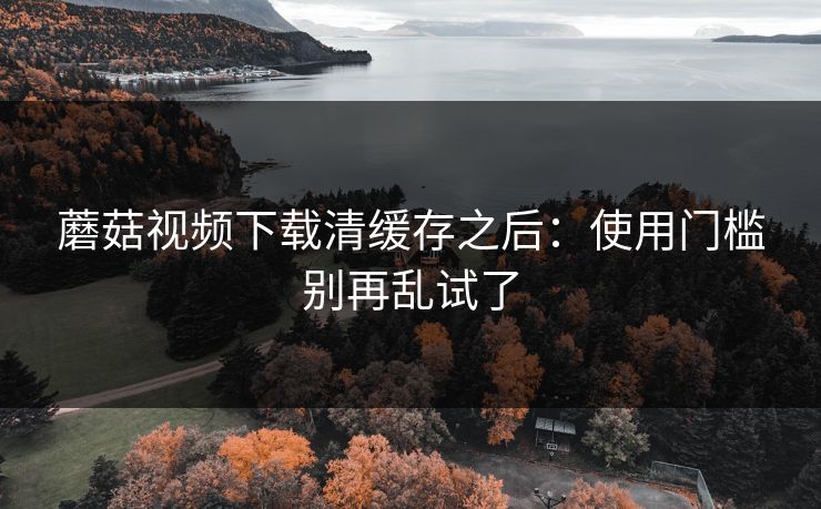 蘑菇视频下载清缓存之后：使用门槛别再乱试了
