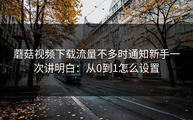 蘑菇视频下载流量不多时通知新手一次讲明白：从0到1怎么设置