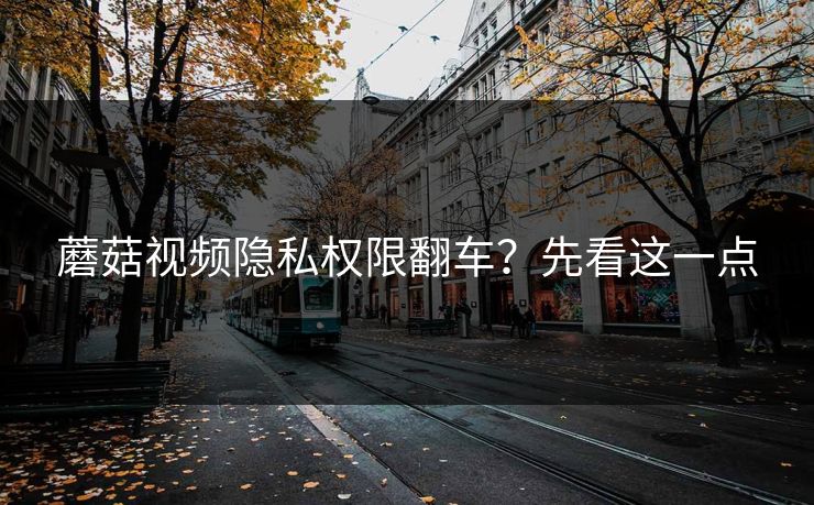 蘑菇视频隐私权限翻车？先看这一点