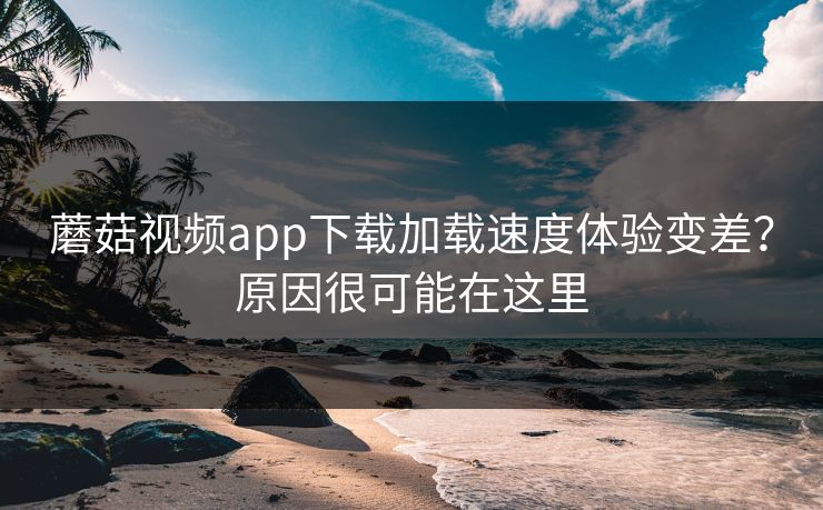 蘑菇视频app下载加载速度体验变差？原因很可能在这里